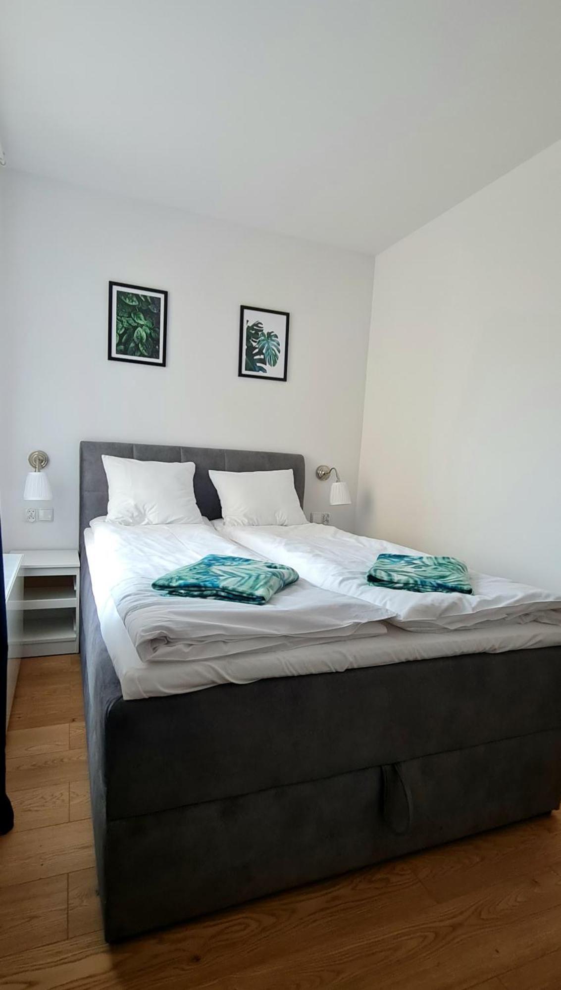 Apartamenty Debowa 3 폴라니카-즈루이 외부 사진